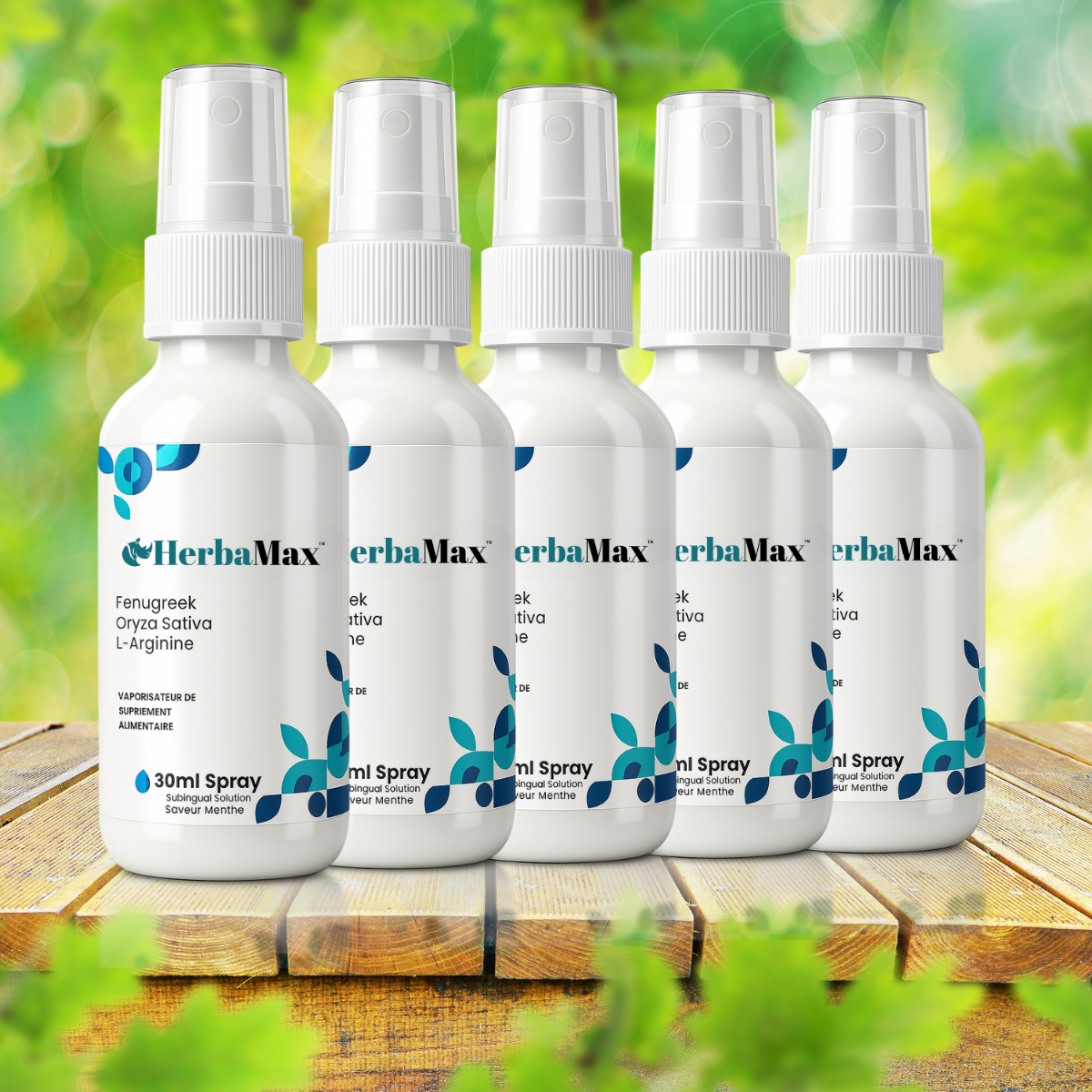 هيربا ماكس إس إيه